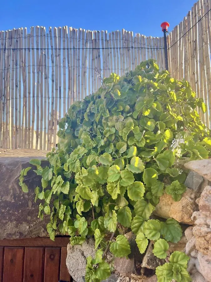 Betancuría Casita De La Era - Terrace & Bbq - Rural Setting 아파트